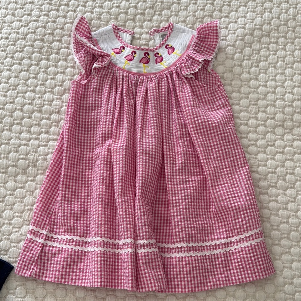 Lil cactus Pink Gingham Kids Dress with Flamingo Embroidery
